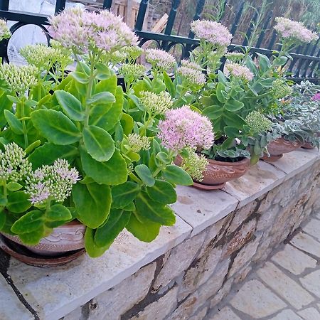 הוילה Kariá La Casa Di Bella A Tradional Stone House With Barbecue מראה חיצוני תמונה